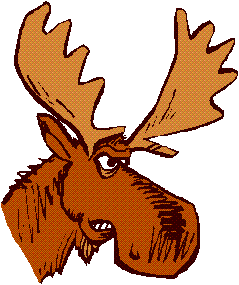 Moose Head Avatar